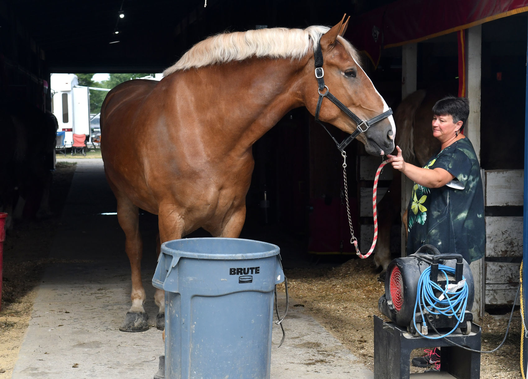 Day 5 of the Mississippi Valley Fair